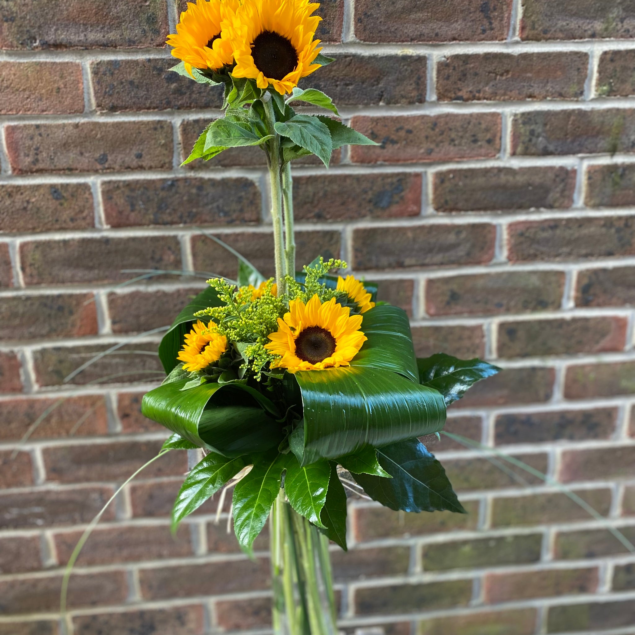Sunflower smiles