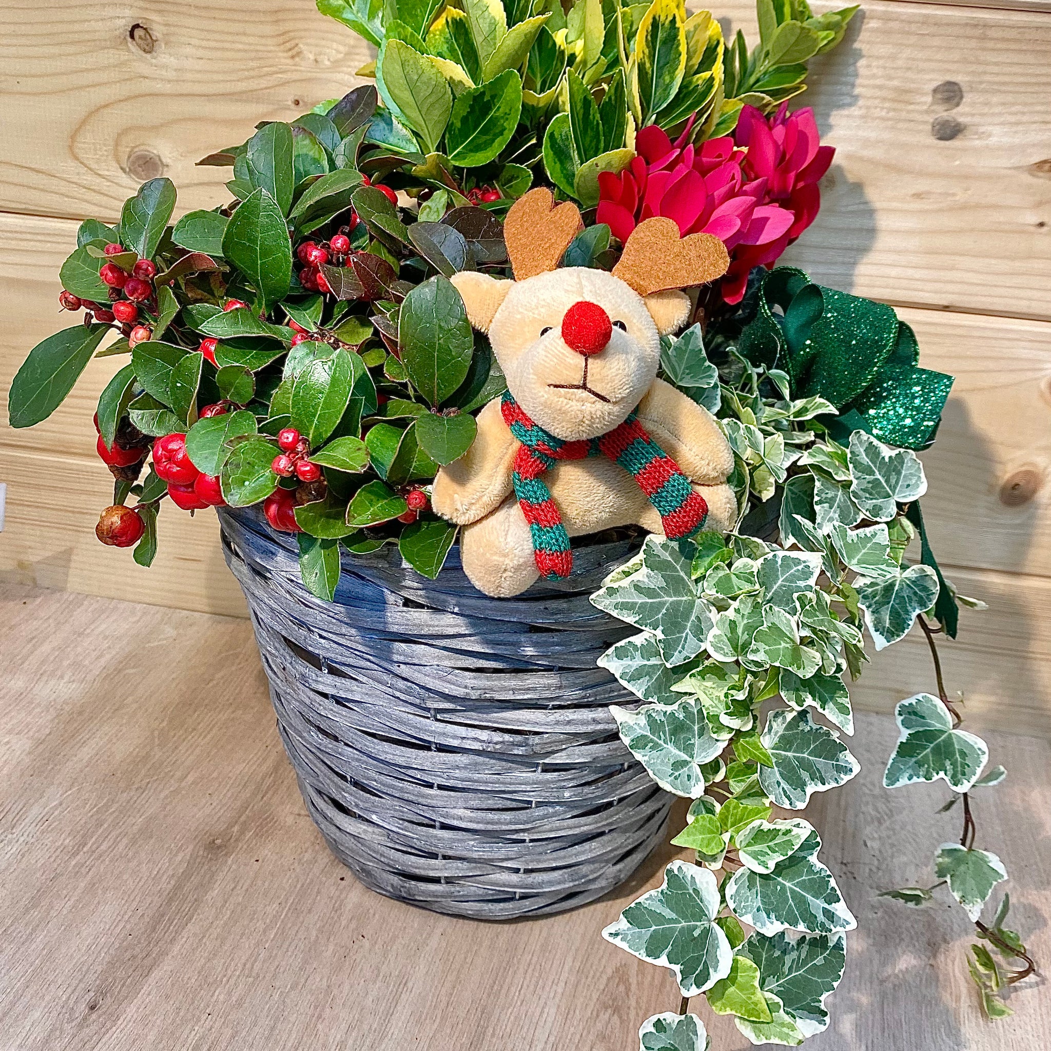 Planted festive reindeer basket
