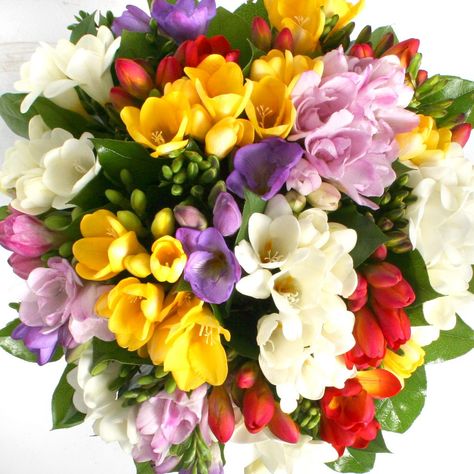 A fragrant freesia bouquet
