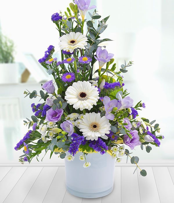 Arrangement - Tranquil Mountain