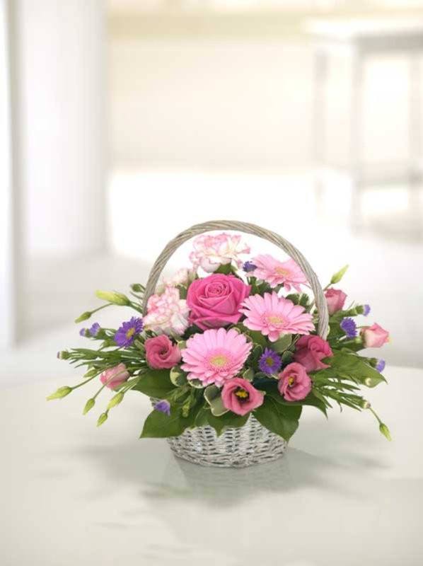 Basket - Adorable Soft Basket