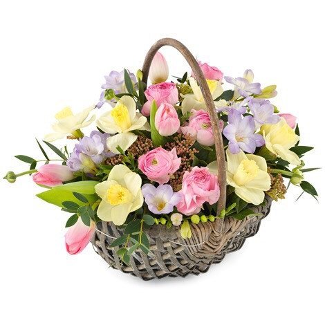 Basket - Soft Spring Basket