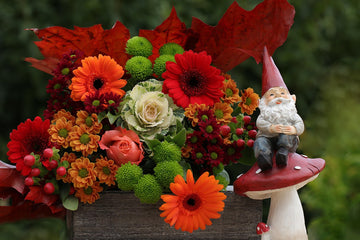 Seasonal Flower Box Trends