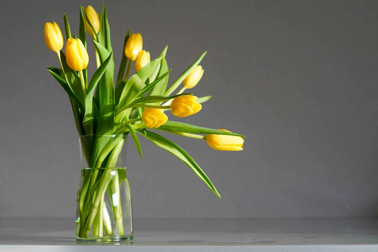 8 Tips For Extending The Life Of Your Fresh Bouquet