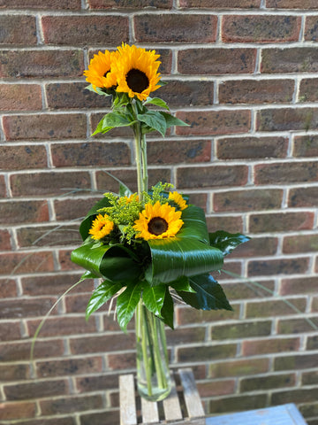 Sunflower smiles