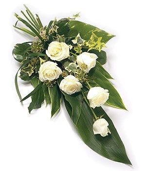 Funeral Flowers - 6 Rose Sheaf